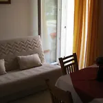 Novak * Slano